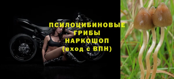 ALPHA-PVP Сосновоборск